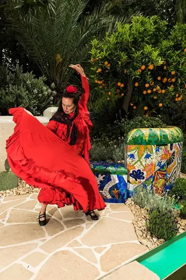 Viva Flamenco performance