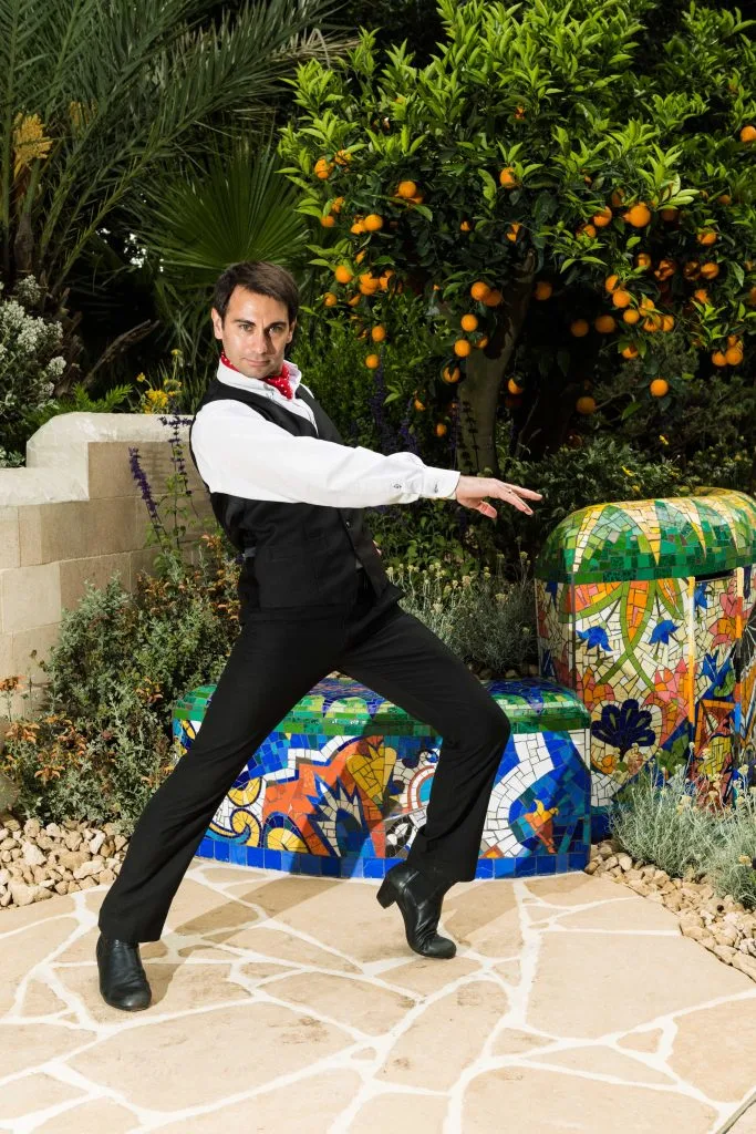 Viva Flamenco performance