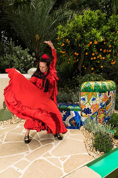 Viva Flamenco performance